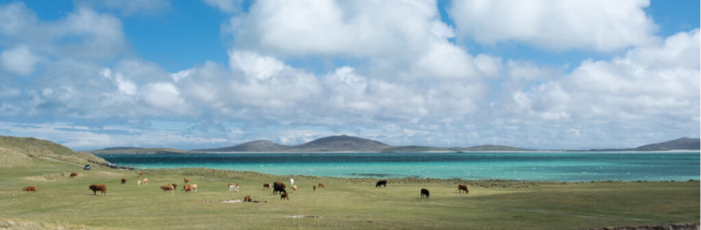 10 of the best UK beaches to relax on this summer