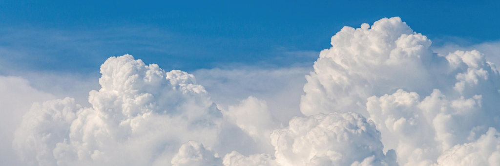 The Investor’s Two Constant Temptations