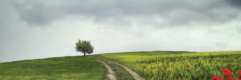 Difficult Conversations: The Heart of Financial Guidance